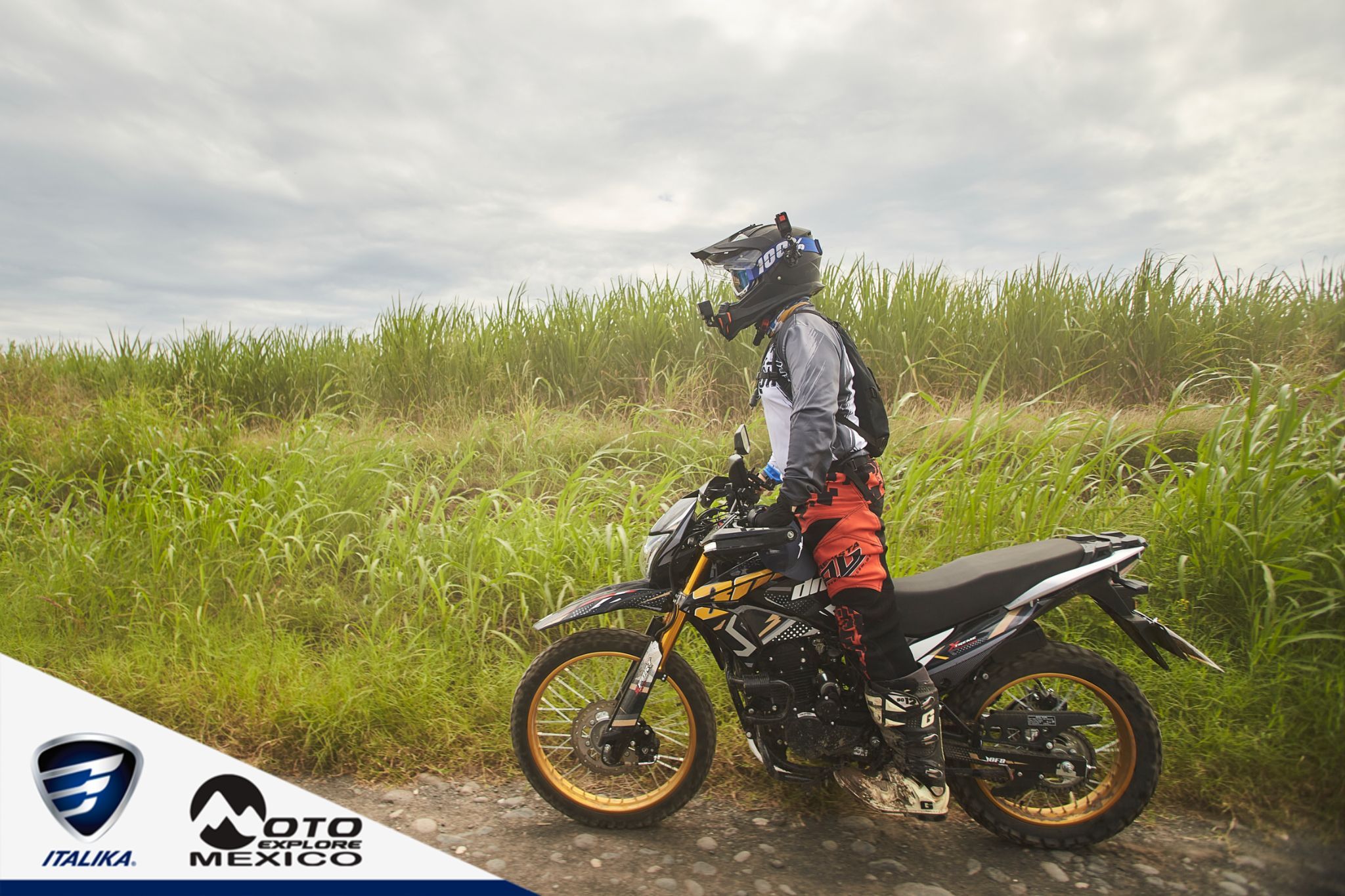 ITALIKA CHACHALACAS D2 39